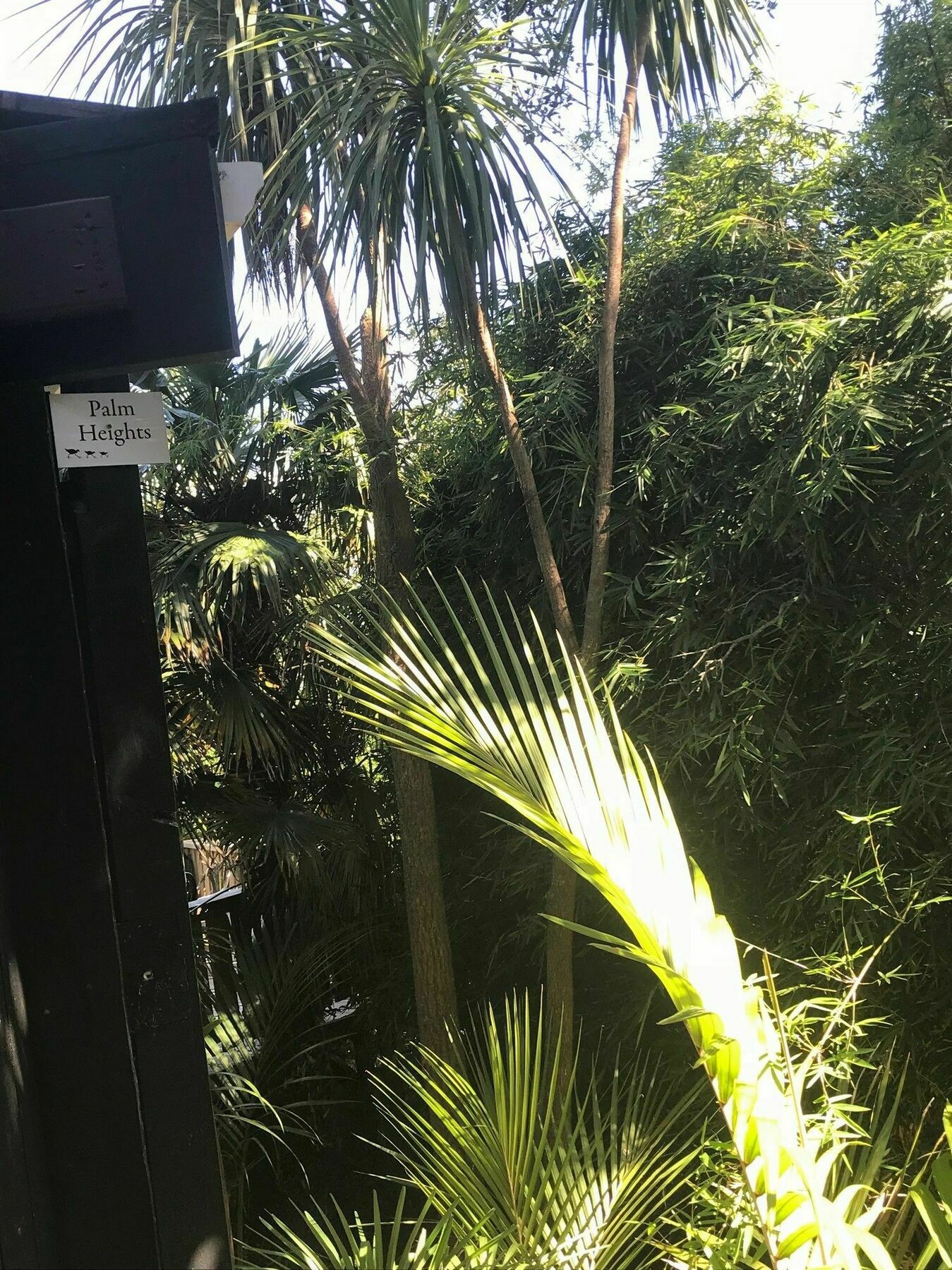 דירות פאלם ביץ' Palm Heights מראה חיצוני תמונה
